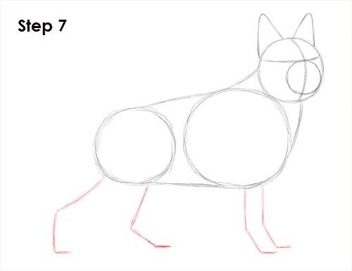 Draw German Shepherd Dog 7