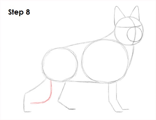 Draw German Shepherd Dog 8