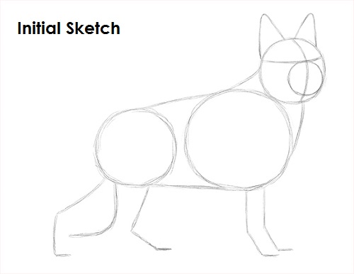 Draw German Shepherd Dog Sketch