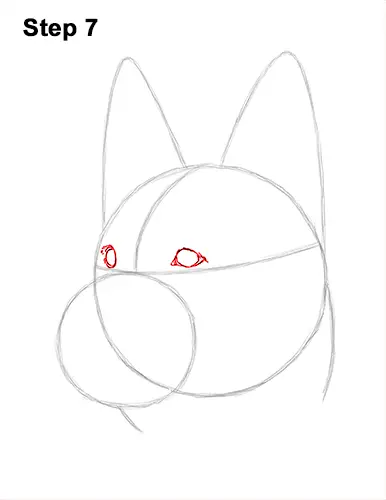 How to Draw a German Shepherd Dog Head Portrait 7