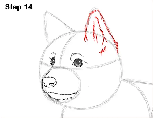 How to Draw a Cute German Shepherd Puppy Dog 14