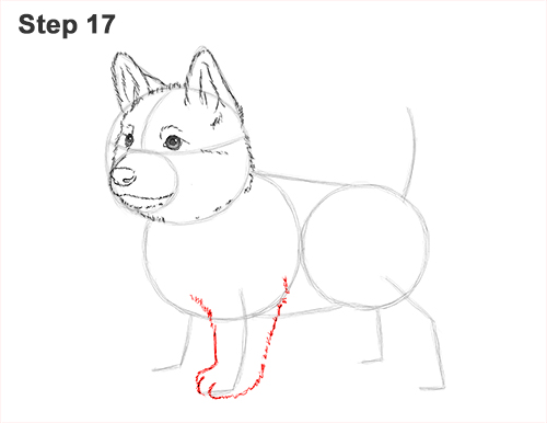 How to Draw a Cute German Shepherd Puppy Dog 17