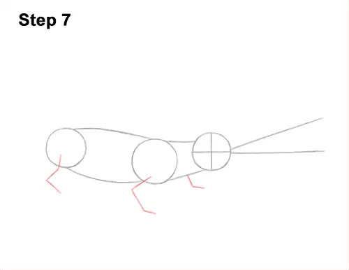 How to Draw a Gharial Gavial Crocodile 7