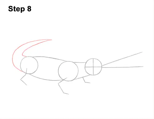 How to Draw a Gharial Gavial Crocodile 8