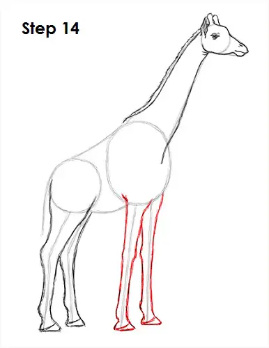 Draw Giraffe 14