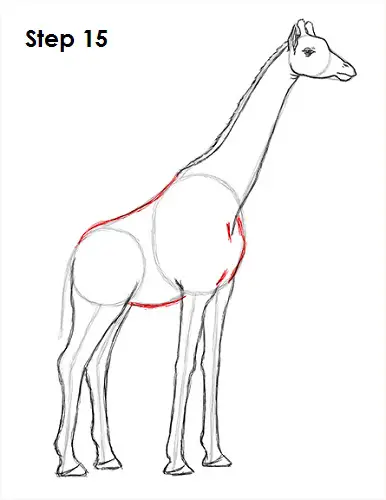 Draw Giraffe 15