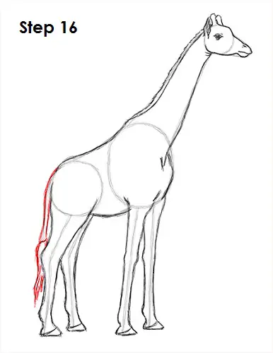 How to Draw a Giraffe | Cute giraffe drawing, Easy giraffe drawing, Giraffe  drawing