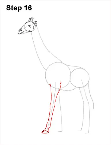 How to Draw a Reticulated Giraffe Side 16