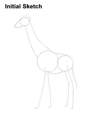 How to Draw a Reticulated Giraffe Side Guide Lines