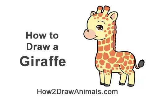 How To Draw A Giraffe Cartoon Video Step By Step Pictures