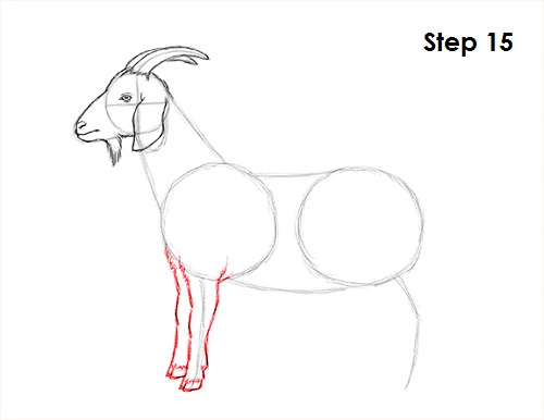 Black And White Drawing Of A Goat On A White Background Stock Illustration  - Download Image Now - iStock