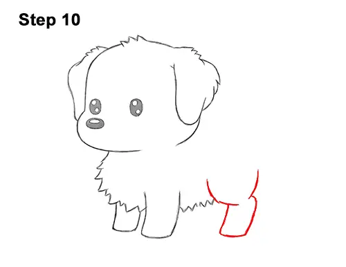 How to Draw a Cute Cartoon Golden Retriever Puppy Dog Chibi Kawaii 10
