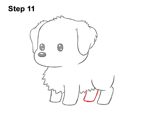 How to Draw a Cute Cartoon Golden Retriever Puppy Dog Chibi Kawaii 11