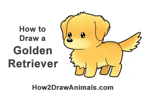 How to Draw a Golden Retriever Dog (Cartoon) VIDEO & Step-by-Step Pictures