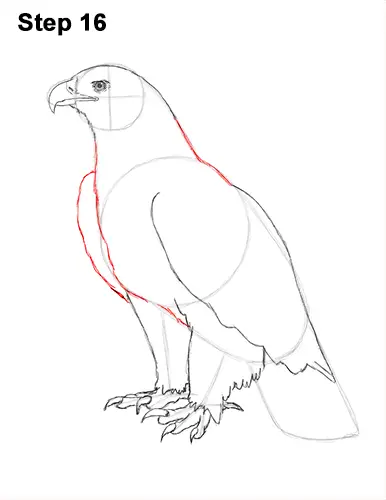 Eagle Drawing  Sketches For Kids  Kids Art  Craft