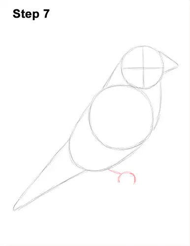 Draw American Goldfinch Bird 7