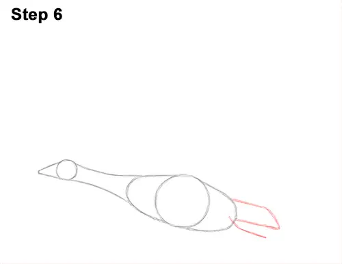 How to Draw Canadian Goose Flying Wings 6
