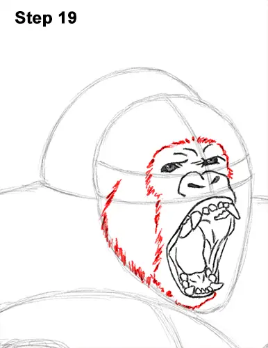 Draw Gorilla Silverback Aggressive 19