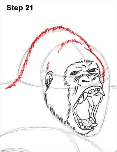 Draw Gorilla Silverback Aggressive 21