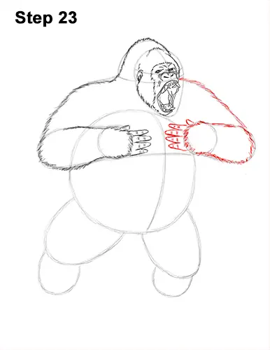 Draw Gorilla Silverback Aggressive 23