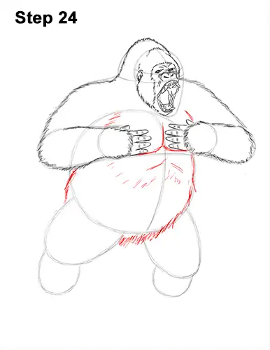 Draw Gorilla Silverback Aggressive 24