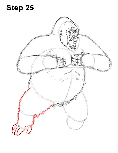 Draw Gorilla Silverback Aggressive 25