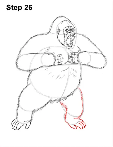 Draw Gorilla Silverback Aggressive 26