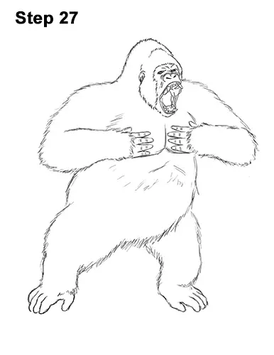 Draw Gorilla Silverback Aggressive 27
