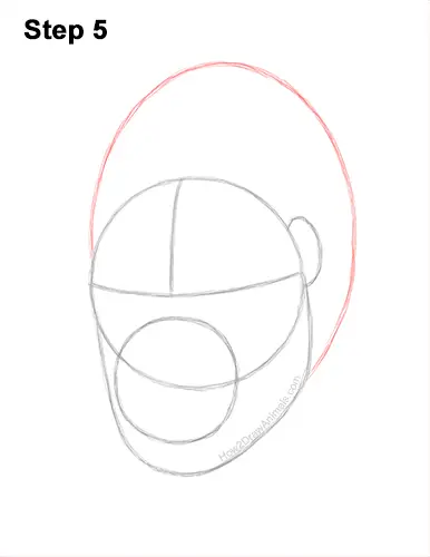 How to Draw a Gorilla Head Face Portrait 5