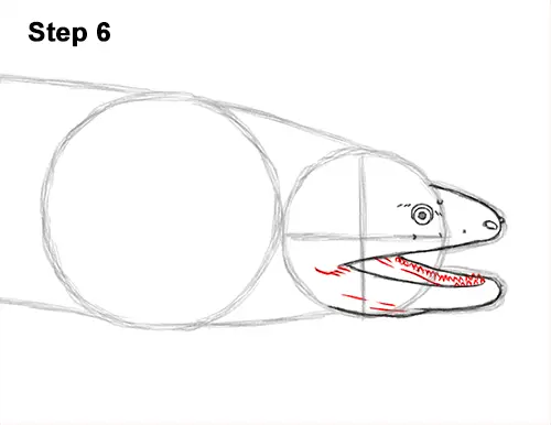 How to Draw a Green Moray Eel Side View 6
