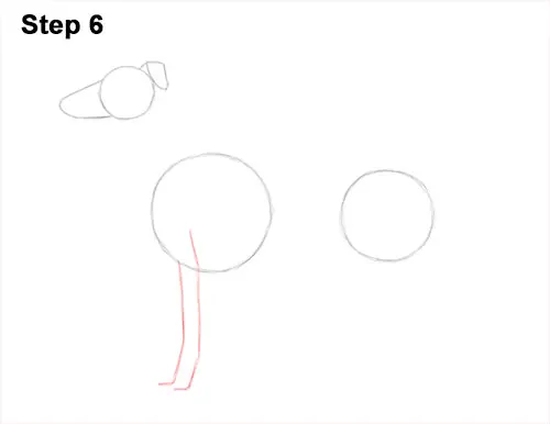 How to Draw Italian Greyhound Whippet Pupppy Dog 6