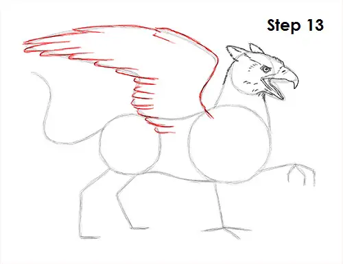 Draw Griffin 13