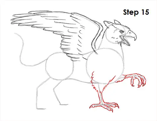 Draw Griffin 15