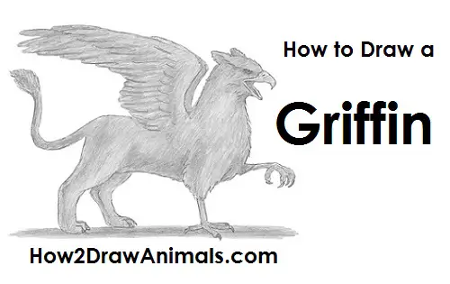 Draw Griffin