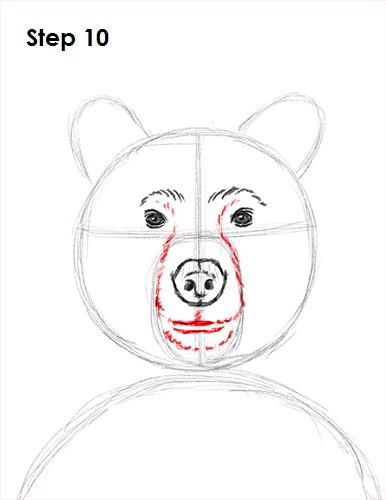 Draw Grizzly Bear 10