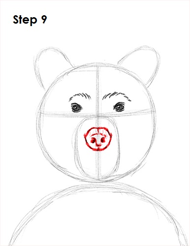 Draw Grizzly Bear 9