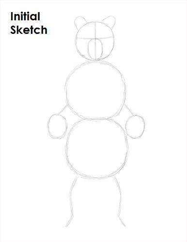 Draw Grizzly Bear Sketch