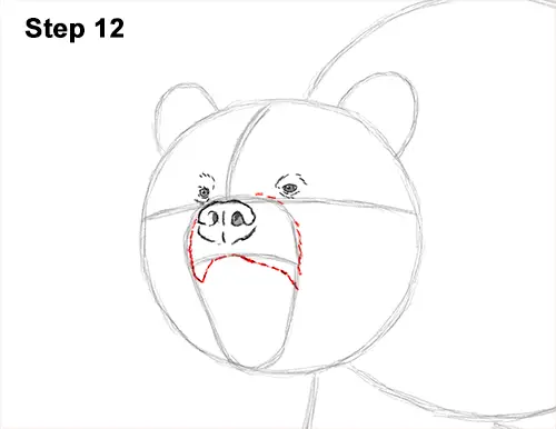 Draw a Growling Grizzly Bear Walking 12