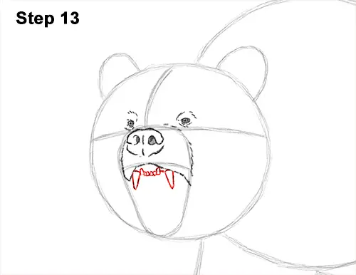 Draw a Growling Grizzly Bear Walking 13
