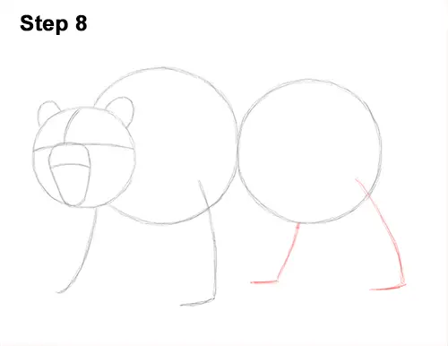 Draw a Growling Grizzly Bear Walking 8