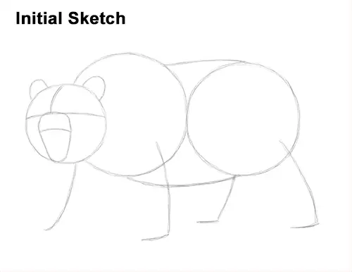 How to Draw a Grizzly Bear (Growling)