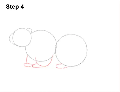 How to Draw a Groundhog Woodchuck Side View 4