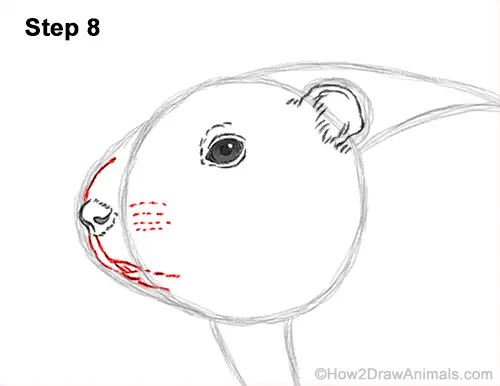 How to Draw a Groundhog Woodchuck Side View 8