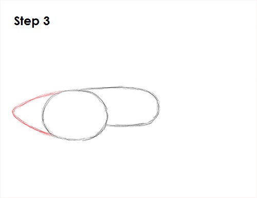 Draw Guppy Fish 3