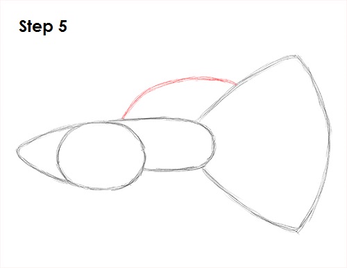 Draw Guppy Fish 5