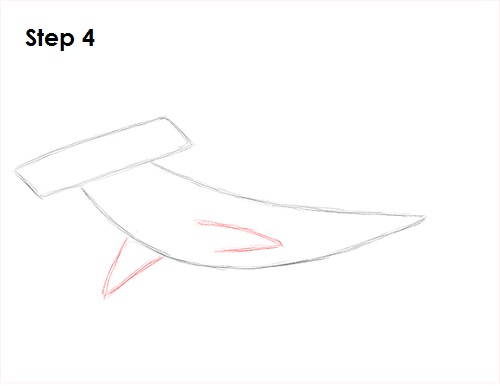 Draw Hammerhead Shark 4