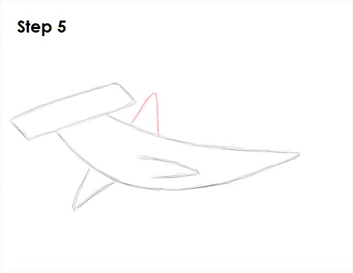 Draw Hammerhead Shark 5