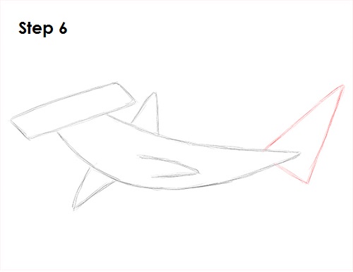 Draw Hammerhead Shark 6