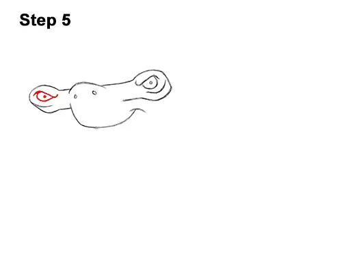 How to Draw a Cool Cartoon Hammerhead Shark 5