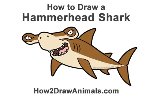 How to Draw a Hammerhead Shark (Cartoon) VIDEO & Step-by-Step Pictures